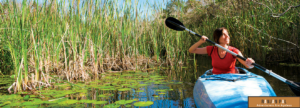 Kayaking in the Everglades watershed | RanjanPal.com