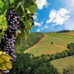 Batumi, Georgia: the best things to eat, see, do