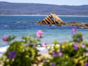 Exploring Eden: Paradise on the Sapphire Coast