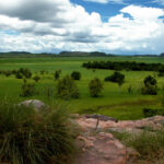 Exploring the Margaret River wine region in Australia