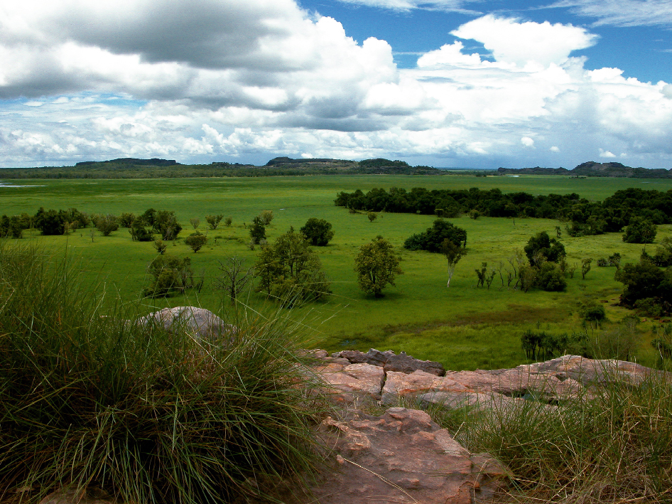 Visit to the Kakadu National Park